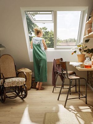 index velux verriere 2en1 oise 60